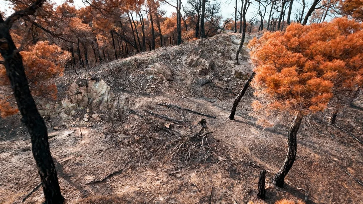 22 Signes Vitaux de la Terre en Détresse Alerte des Scientifiques