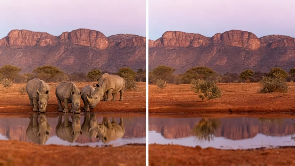 Un photographe avertit d'un avenir sans animaux sauvages