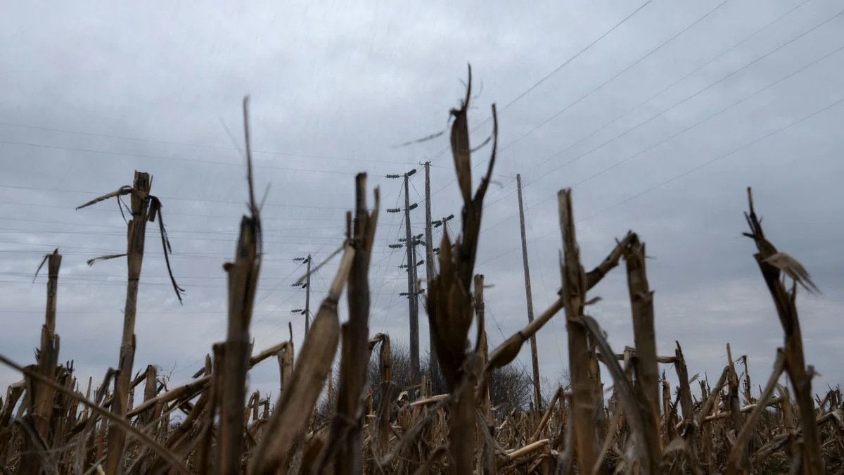 Centres de données : défis pour les communautés rurales