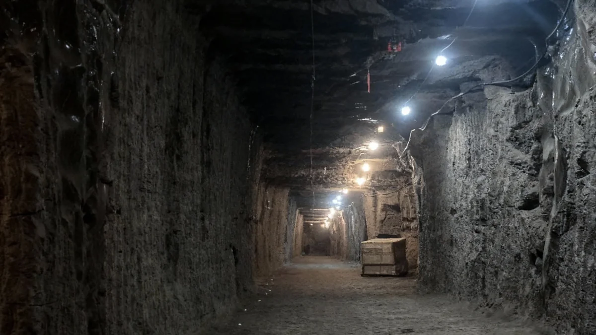 Le dégel du pergélisol révèle des microbes anciens