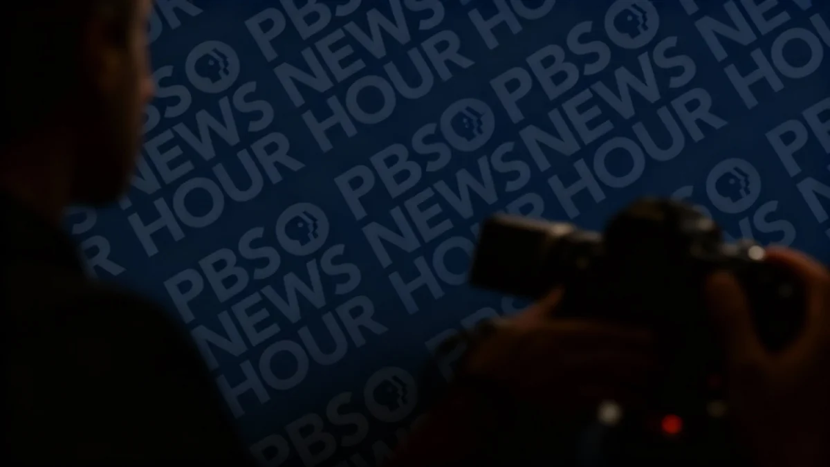 Fleurs rares éclosent dans le désert d'Atacama