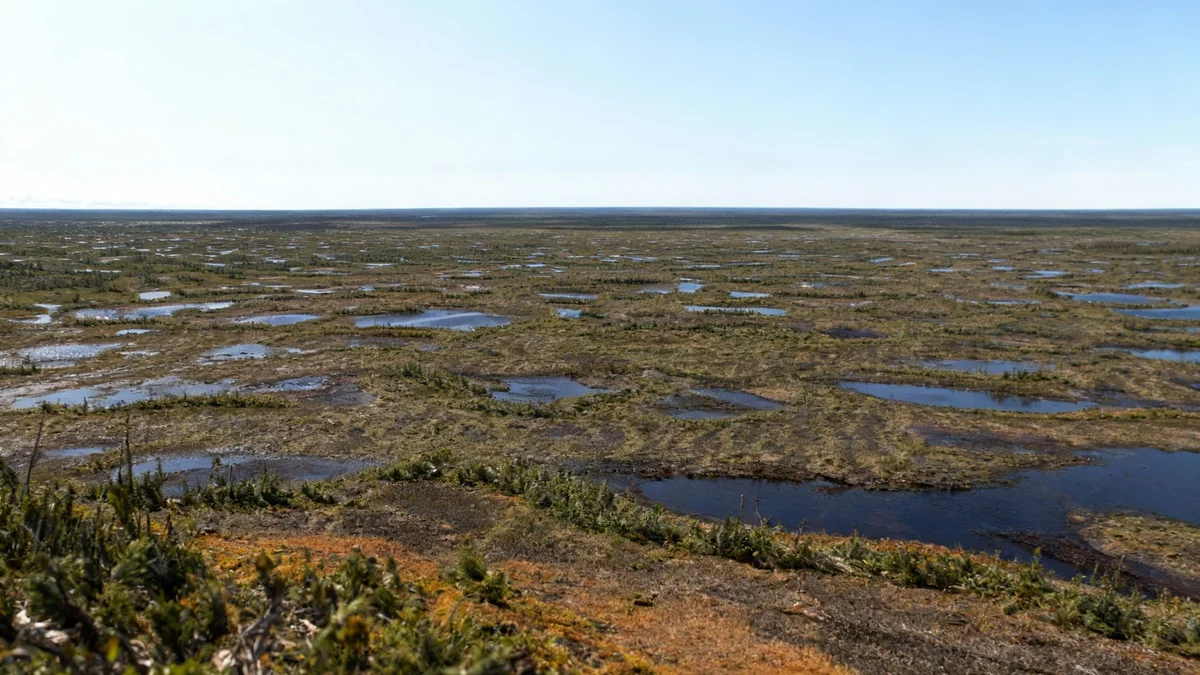 Les tourbières du Canada : un trésor climatique méconnu