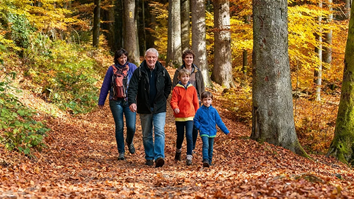 Les arbres britanniques menacés par le climat, de nouvelles espèces pour sauver les forêts