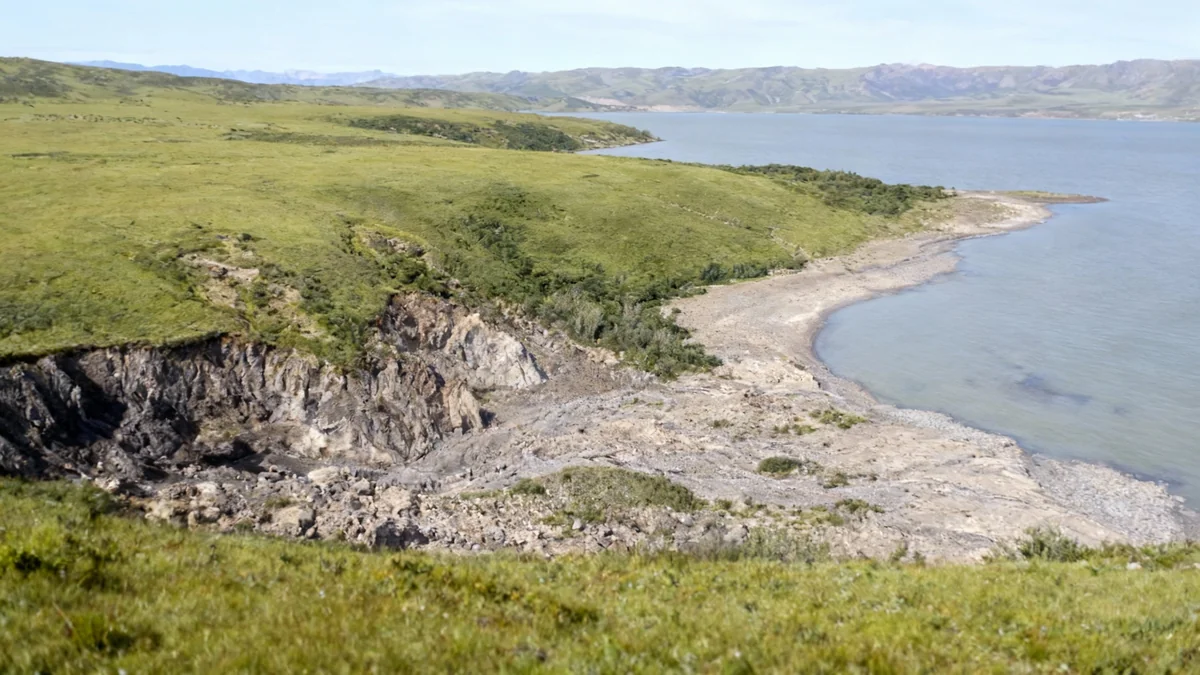 Impact climatique de l'industrie de la viande
