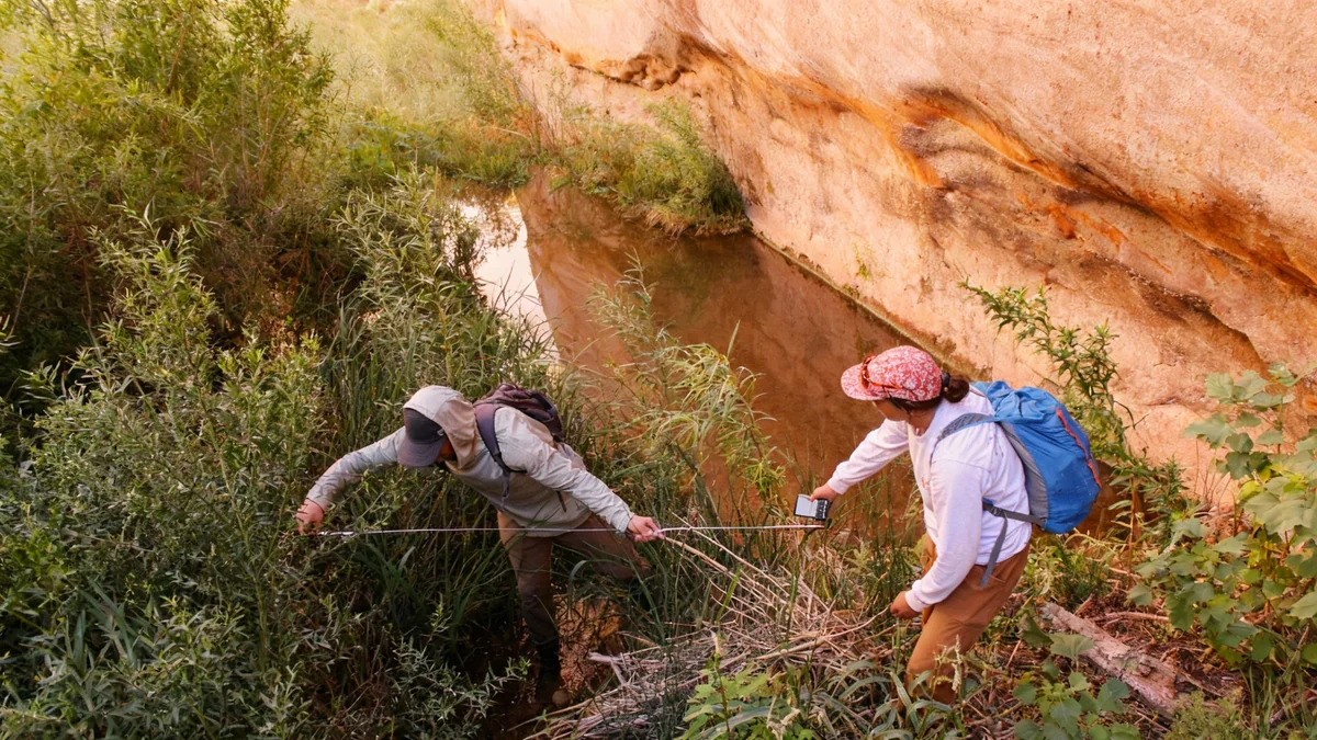 Le Lac Powell en Recul: Les Castors Reconstruisent des Écosystèmes
