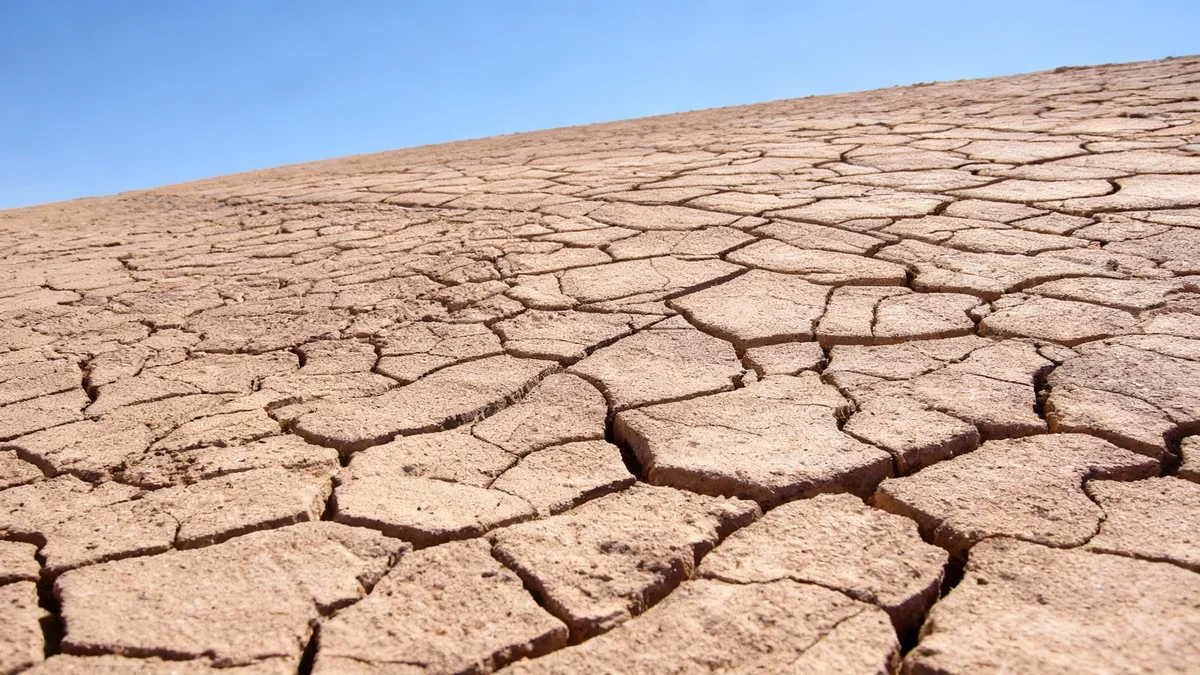 CIJ et climat : les droits des individus restent flous