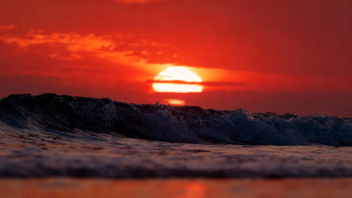 Débat sur le Net Zéro : Des Briefings Sceptiques