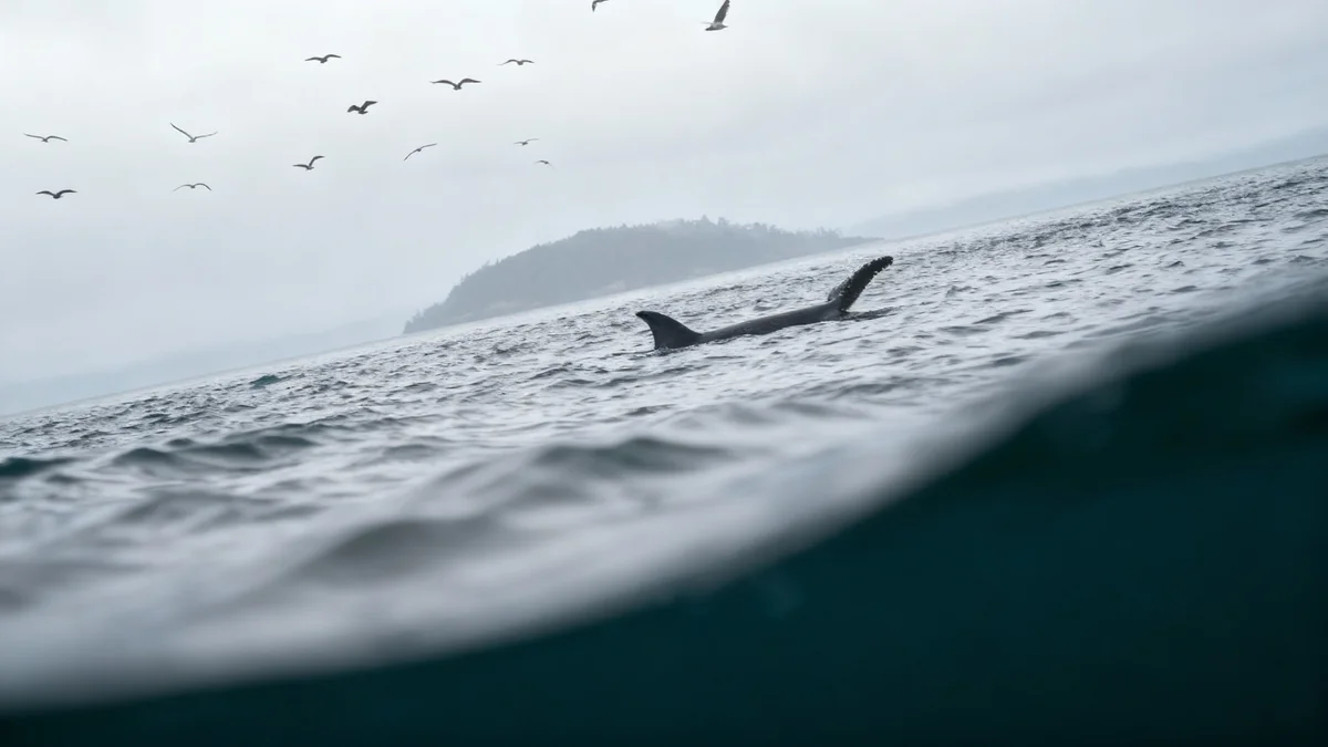 Le King County lance un plan climat ambitieux pour 2025-2030