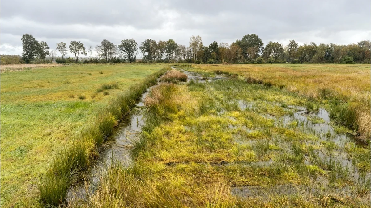 Paysages multifonctionnels : une solution aux crises mondiales