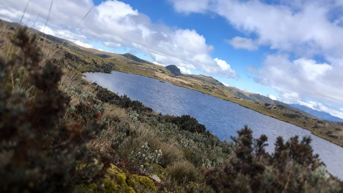 Les petits étangs andins impactent le climat mondial