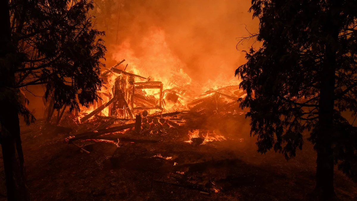 Les feux de forêt s'intensifient à cause du changement climatique