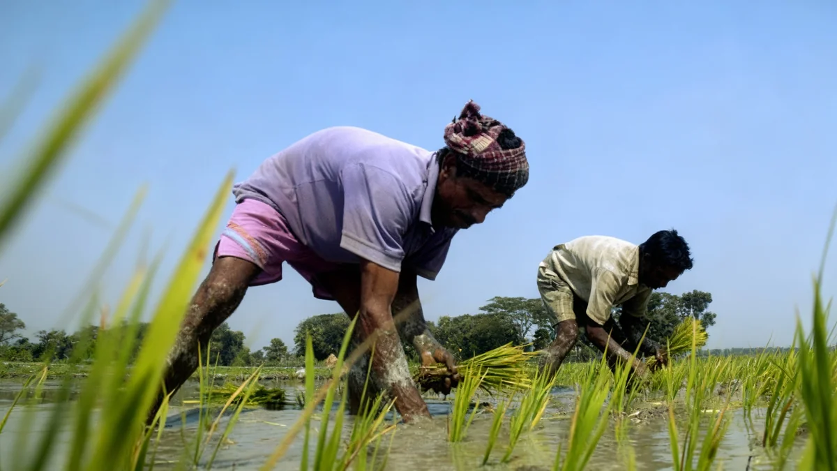 Moins de 3% de l'aide climatique pour une transition juste