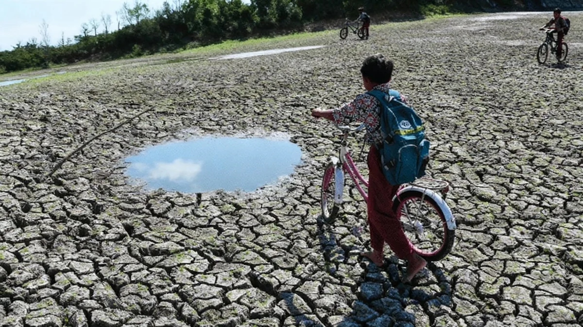Changement climatique : l'inquiétude grandit dans les pays émergents