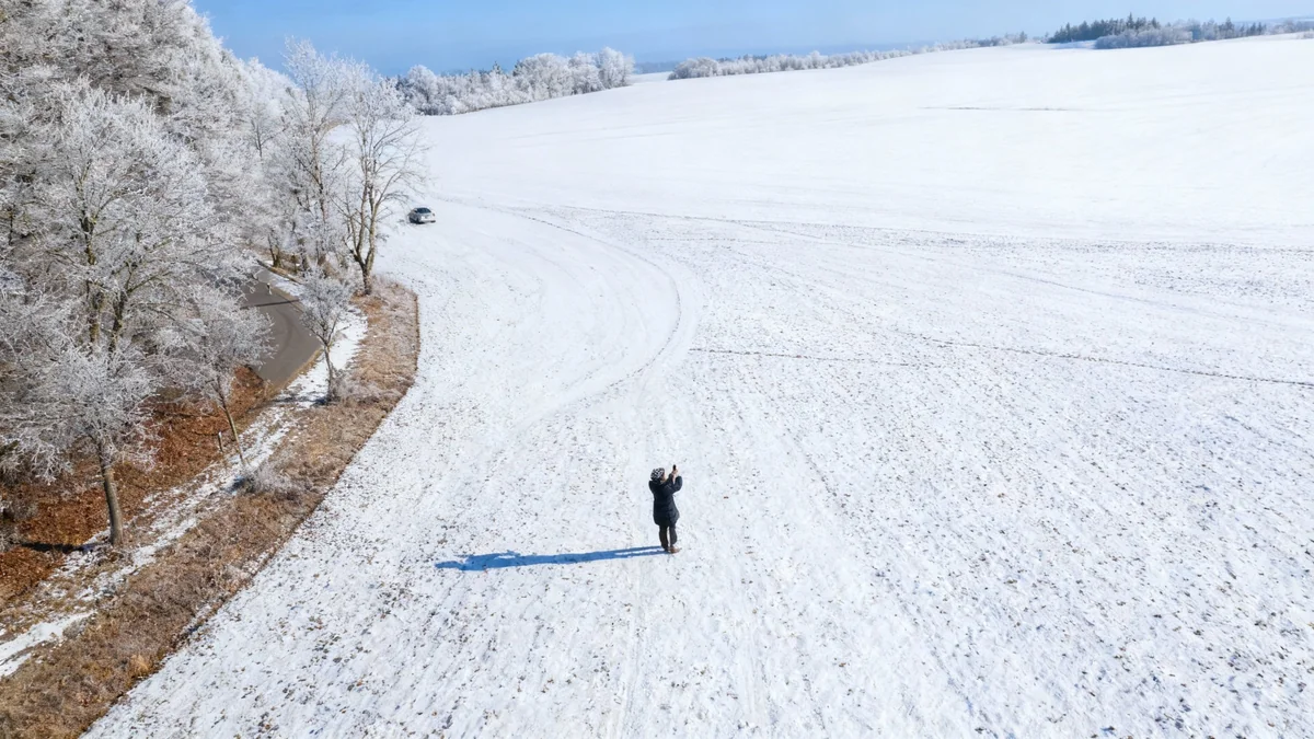 Arbres qui éclatent en hiver: un phénomène naturel