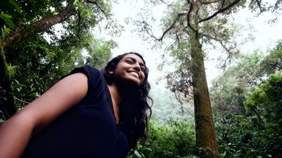 L'Illinois envisage une loi pour faire payer les pollueurs